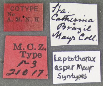 Media type: image; Entomology 21017   Aspect: labels